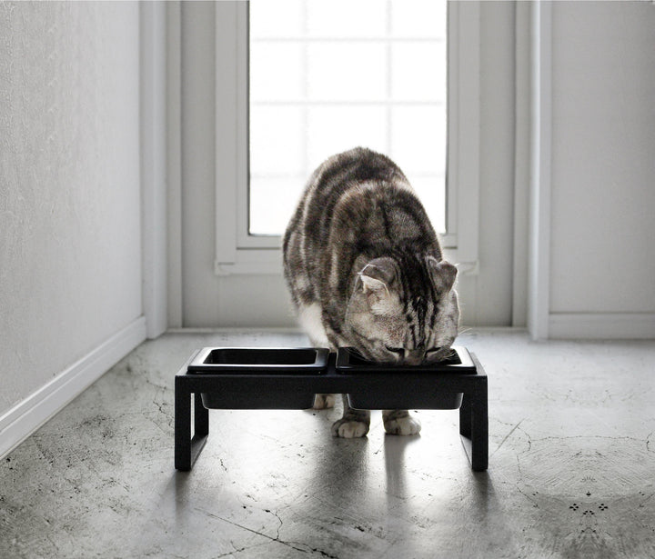 Yamazaki Cat And Dog Bowl Black - Image 3