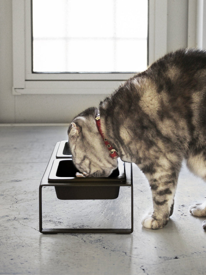 Cat collar food bowl cheap
