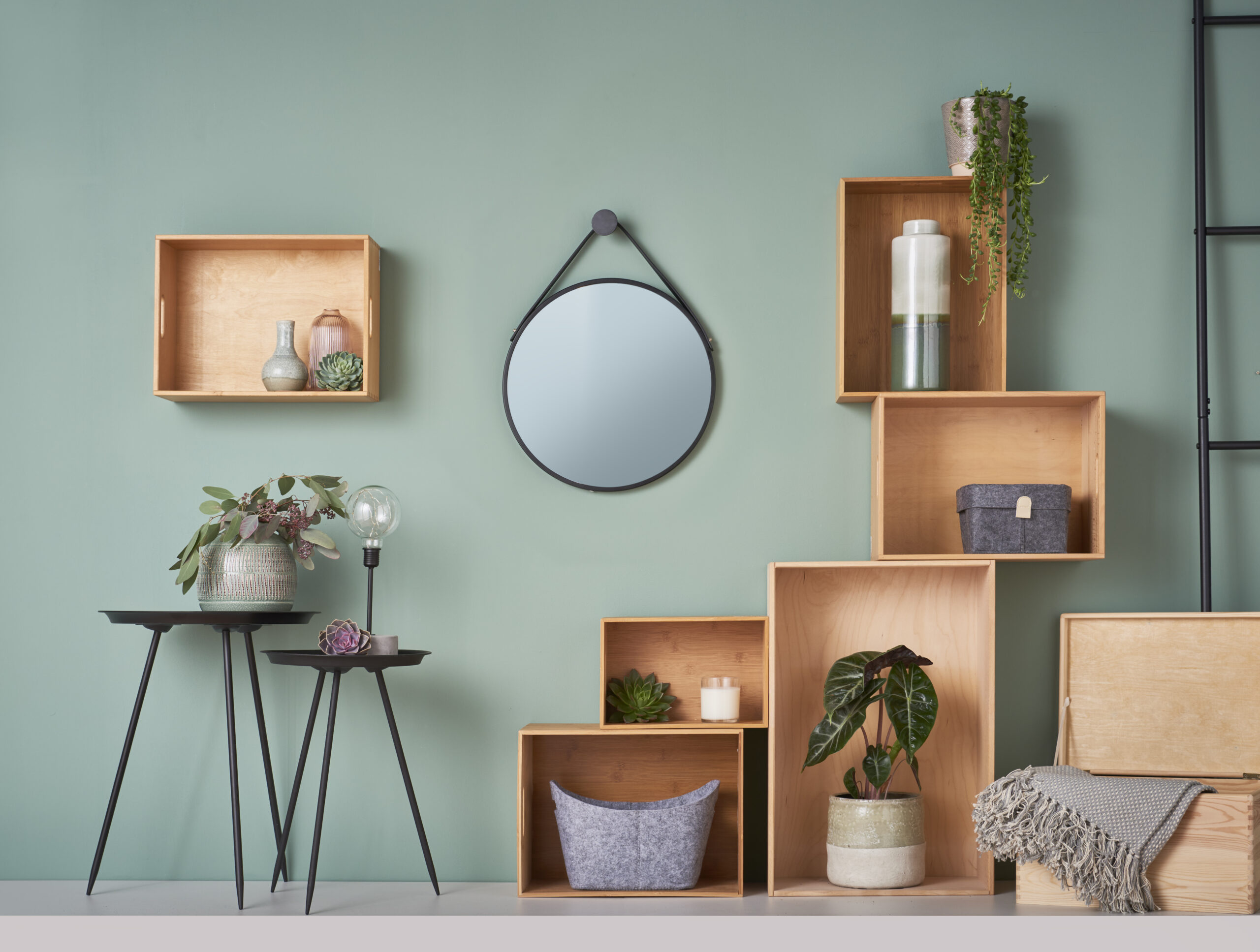 Lakitud hoiukast Pöök XS - Image 4