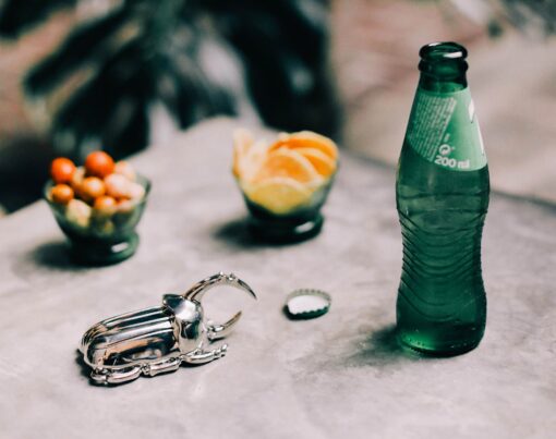 DOIY Insectum Bottle Opener Silver - Image 3