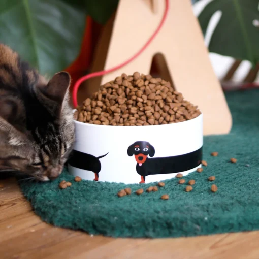 Fluid Market Ceramic Pet Bowl - Image 2