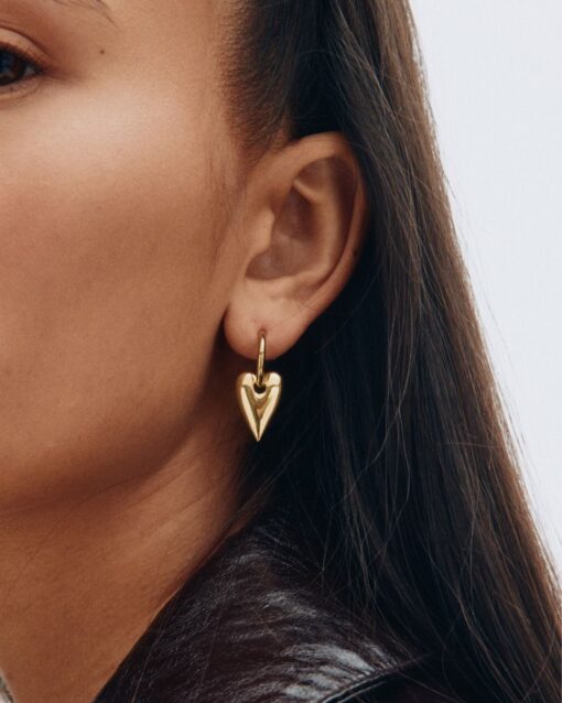 Edblad Amore Hoops L kõrvarõngad, kullatud 14K - Image 2