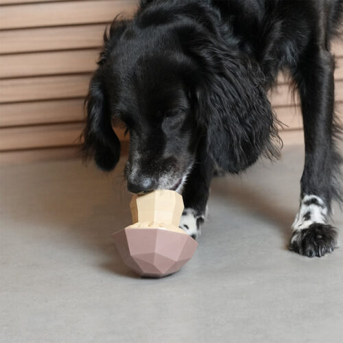 Alternative view of Zee.Dog Seenekujuline maiusemänguasi koertele