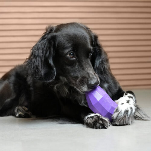 Alternative view of Zee.Dog Baklažaanikujuline maiusemänguasi koertele