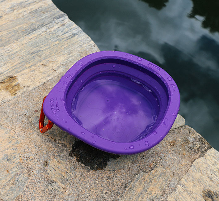 Zee.Dog Peak Go Bowl loomasööginõu - Image 4