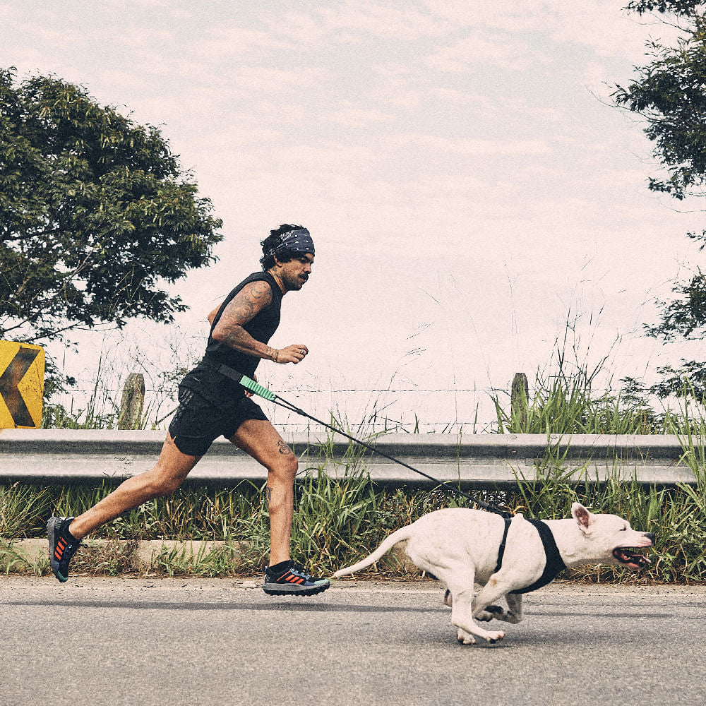 Zee.Dog Jooksuvöö koeraga jooksmiseks - Image 2