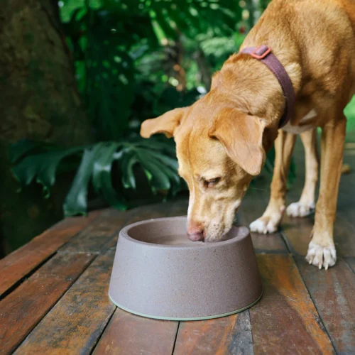 Alternative view of Zee.Dog Naturals Classic Bowls 2.0 Large loomasööginõu
