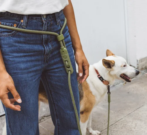 Alternative view of Zee.Dog Army Green Hands-Free jalutusrihm