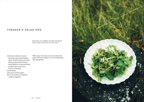 Cozy Publishing Chef’s Wild Nordic Cookbook open book spread 1