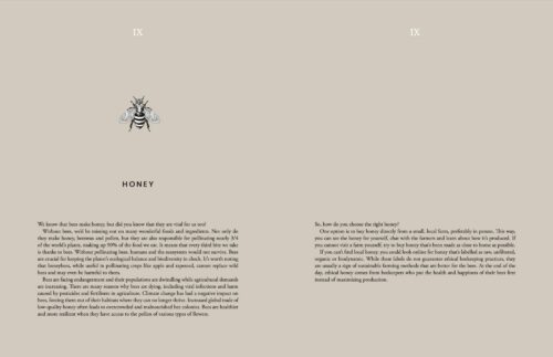 Cozy Publishing Cooking Sustainably Book open book spread 4
