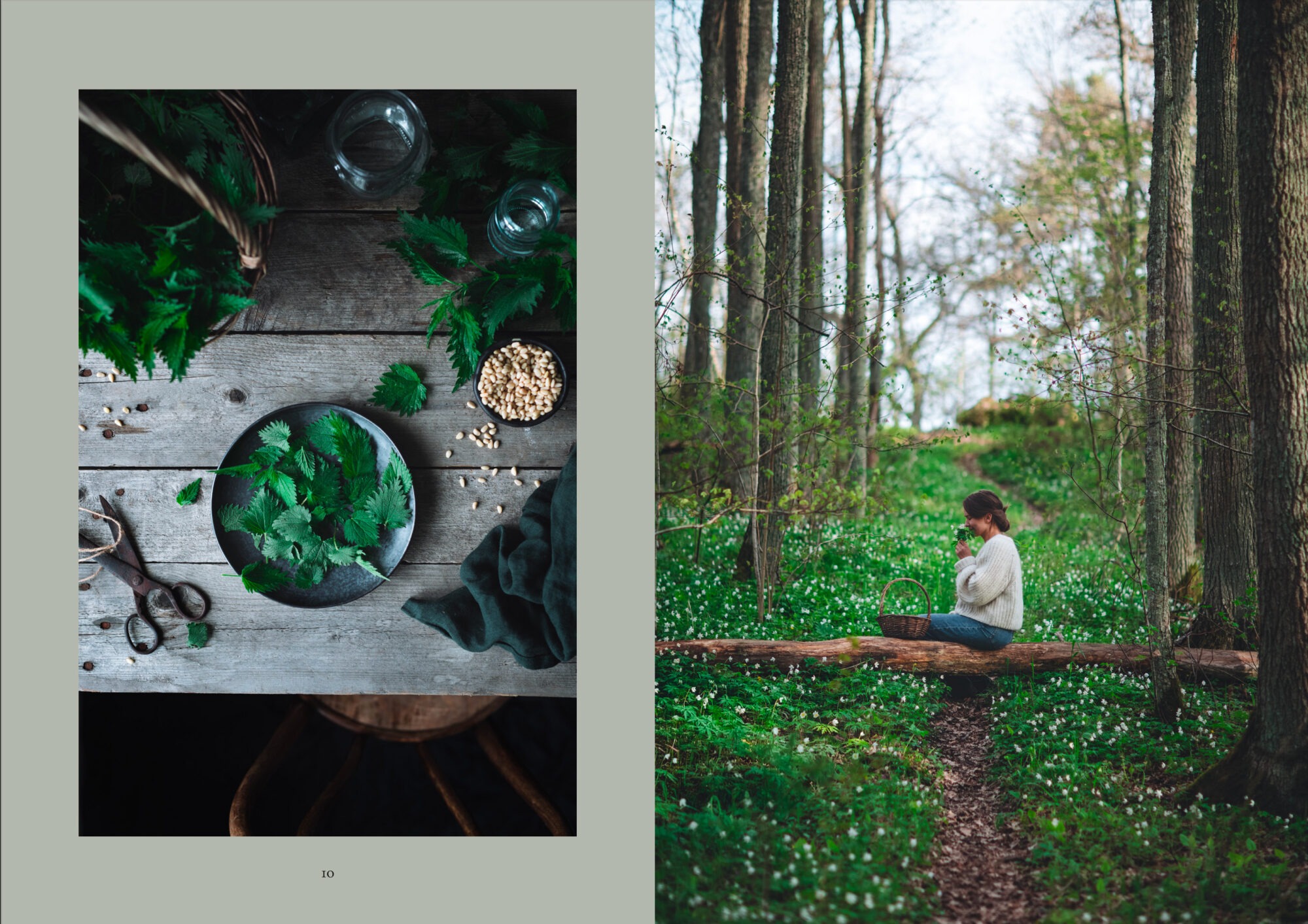 Cozy Publishing The Art of Fun Dining Cookbook open book spread 2