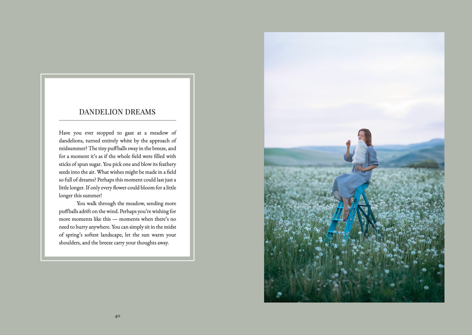 Cozy Publishing The Art of Fun Dining Cookbook open book spread 3
