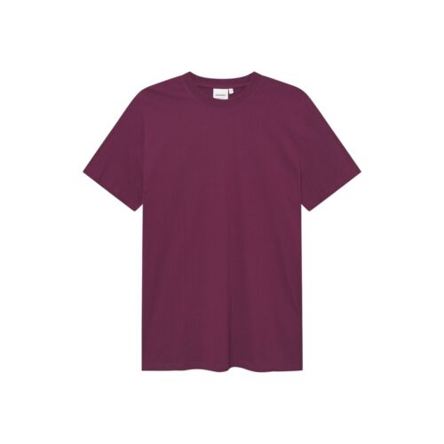 Dedicated T-shirt Stockholm Base Fig Red – T-shirt on a pure white background