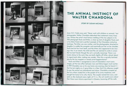 TASCHEN Cats. Photographs 1942–2018 Book open book spread 1