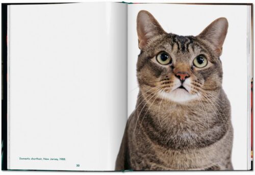 TASCHEN Cats. Photographs 1942–2018 Book open book spread 2