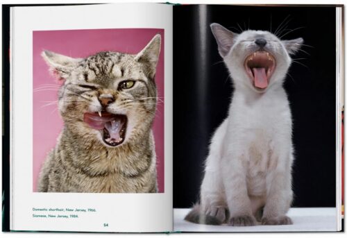 TASCHEN Cats. Photographs 1942–2018 Book open book spread 3