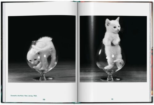 TASCHEN Cats. Photographs 1942–2018 Book open book spread 5