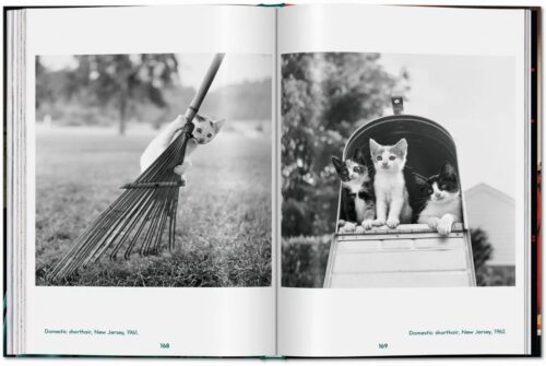 TASCHEN Cats. Photographs 1942–2018 Book open book spread 6