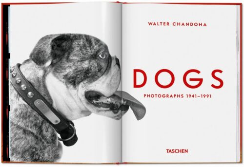 TASCHEN Dogs. Photographs 1941–1991 Book open book spread 1