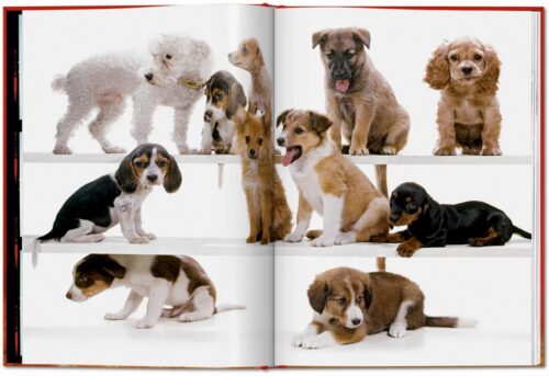 TASCHEN Dogs. Photographs 1941–1991 Book open book spread 2
