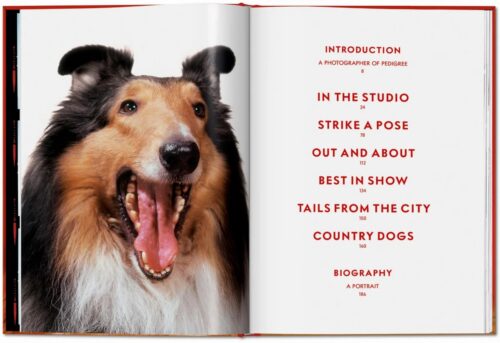 TASCHEN Dogs. Photographs 1941–1991 Book open book spread 3