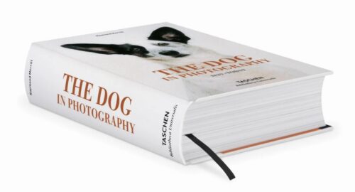TASCHEN The Dog in Photography 1839–Today Book open book spread 1