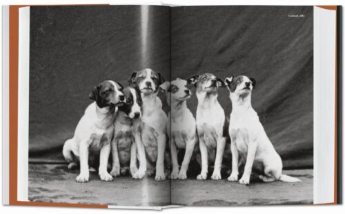 TASCHEN The Dog in Photography 1839–Today Book open book spread 2