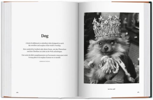 TASCHEN The Dog in Photography 1839–Today Book open book spread 4